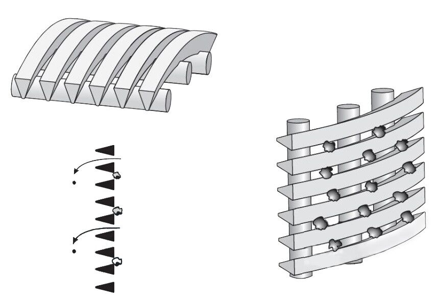 wedge wire screen